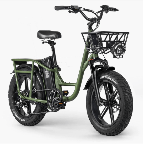FIIDO T1 PRO Electric Cargo Bike upgraded v2 2024 edition