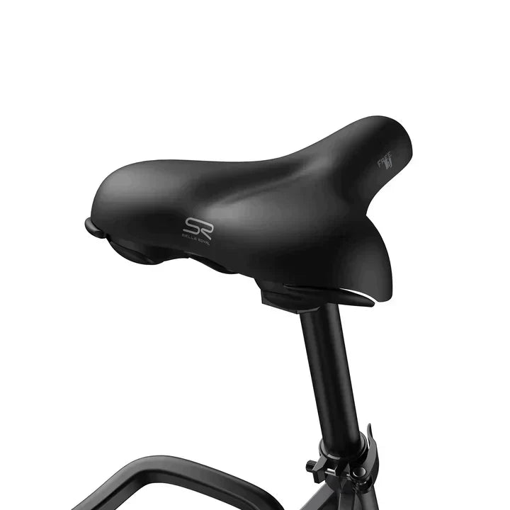 Fafrees F28 Pro Electric Bike